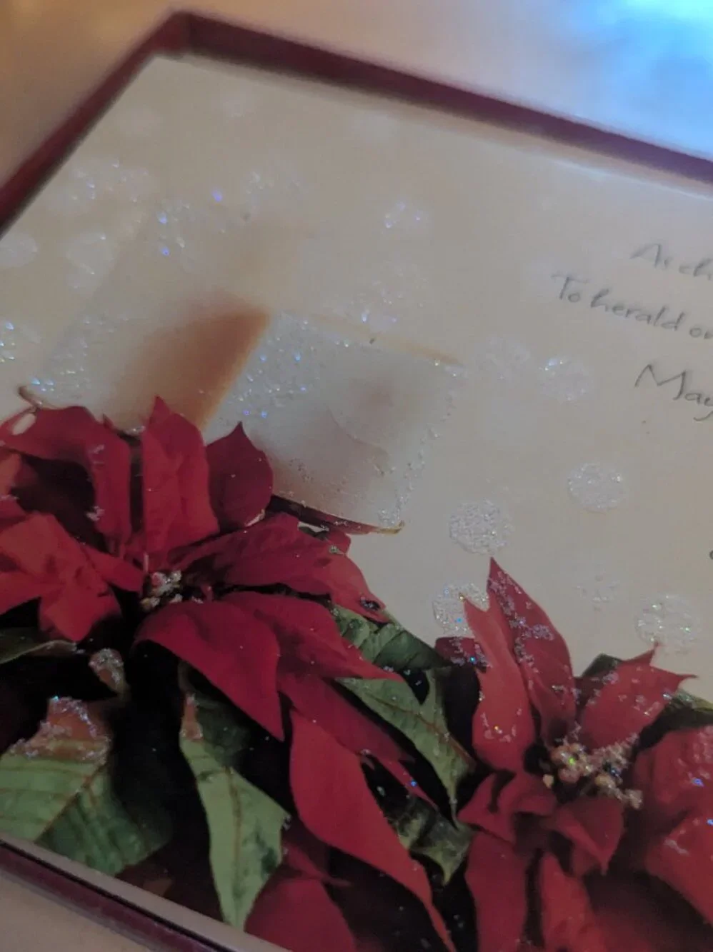 NWT 16 Poinsettias American Greetings Christmas Cards Sealed Religious Holiday